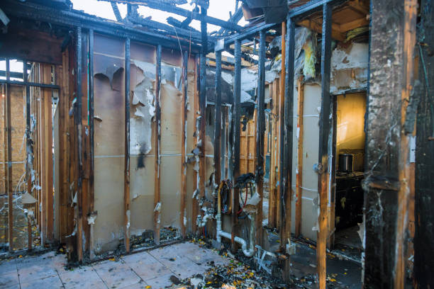 Professional Fire Damage Removal technician working in Folsom, PA