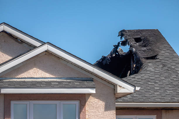 Top rated local Fire Damage Removal specialists in Folsom, PA